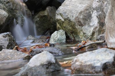 Scenic view of waterfall