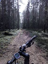 Bicycle parked on field in forest