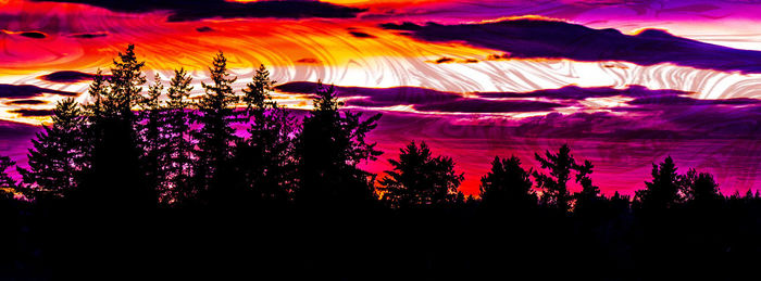 Illuminated trees against sky at sunset