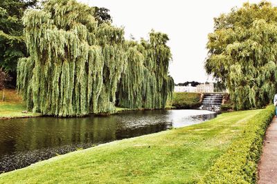 Scenic view of lake against clear sky