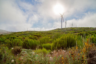 Wind turbines on field against sky