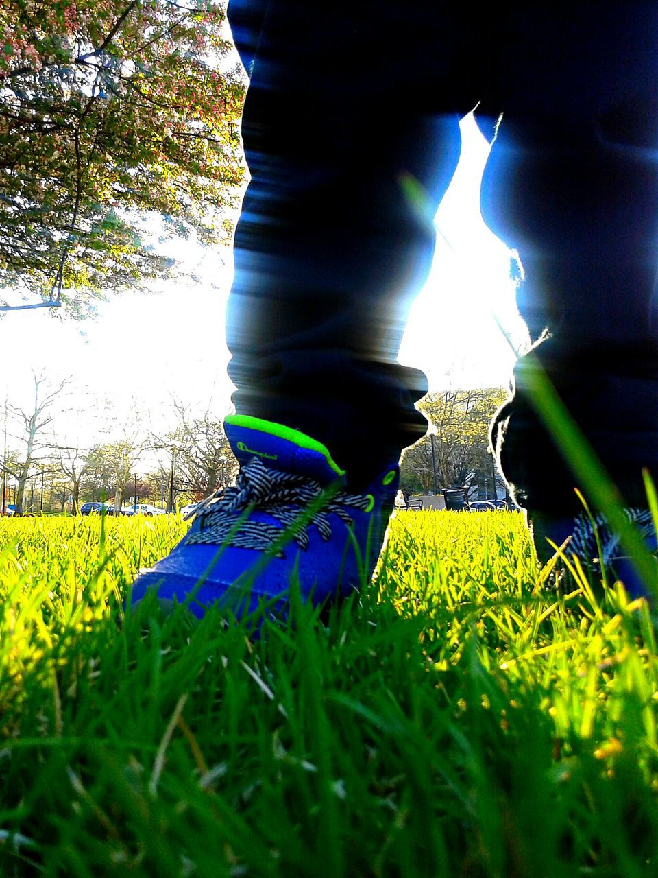 lifestyles, leisure activity, field, grass, low section, men, person, standing, sky, tree, casual clothing, green color, grassy, landscape, shoe, growth, rear view