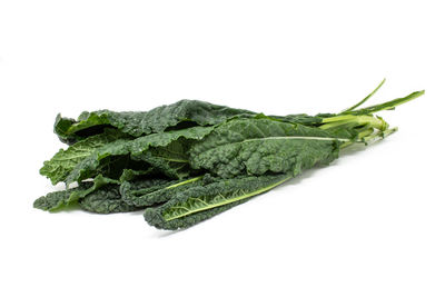 Close-up of green leaf against white background