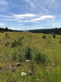 Scenic view of field against sky