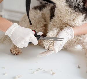 High angle view of woman working on table