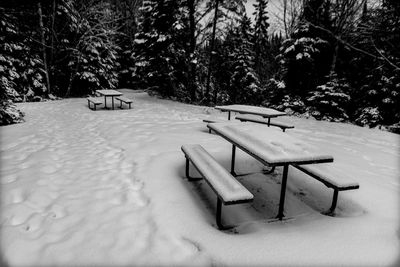 Empty road with trees in background