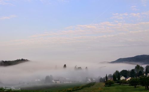 Scenic view of landscape against sky