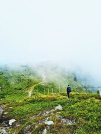 Rear view of man walking on mountain