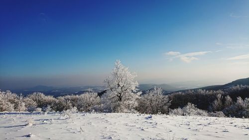 Snow covered landscape against blue sky