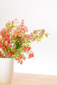 Close-up of vase against white background