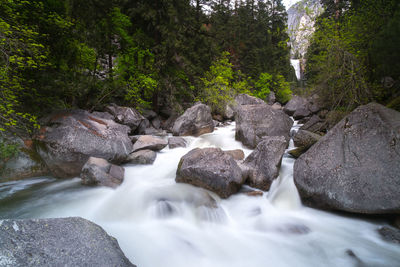 Stream flowing through rocks in forest