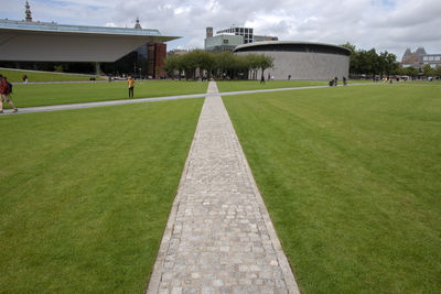 grass