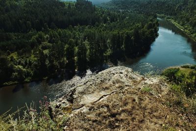 High angle view of lake amidst trees in forest