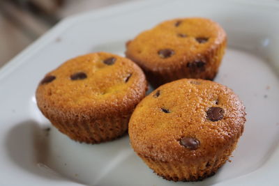 Gluten free carrot cupcakes with drops of chocolate just out of the oven.