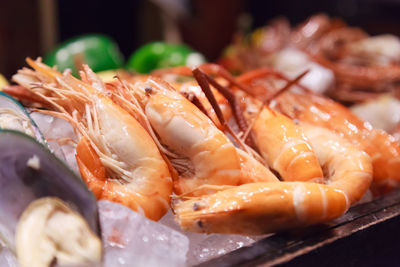 Close-up of fish in plate on table