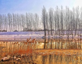 Scenic view of lake against sky during winter