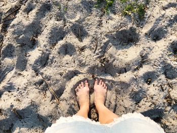 Low section of woman standing on sand