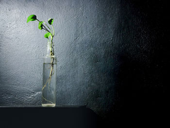 High angle view of trophy on table