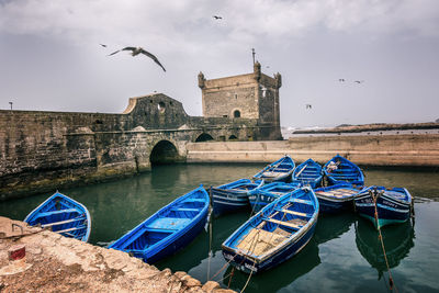 Seagulls on a boat in a canal