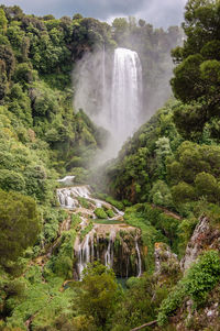 Scenic view of waterfall in forest