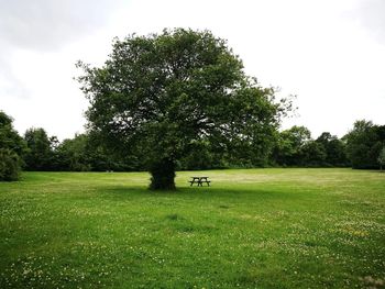 Scenic view of green landscape against sky