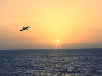 Silhouette bird flying over sea against orange sky