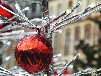 Close-up of christmas decoration