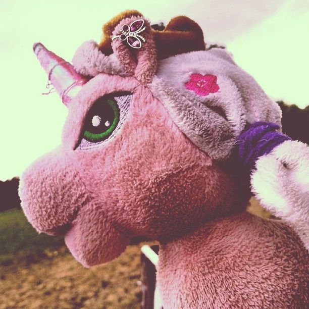 close-up, animal themes, focus on foreground, domestic animals, one animal, pink color, dog, animal head, no people, mammal, day, flower, pets, nature, portrait, outdoors, red, stuffed toy, looking at camera, animal representation