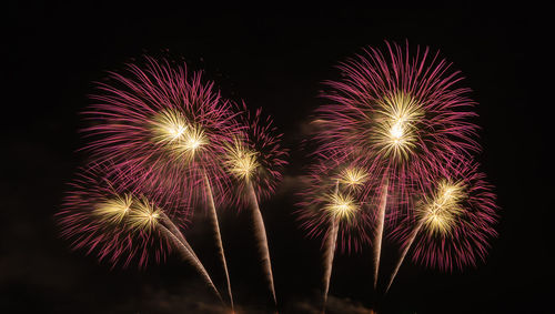 Low angle view of firework display at night