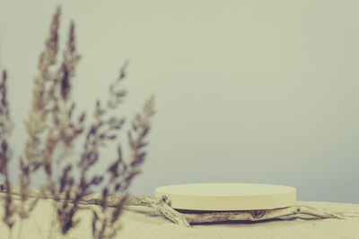 Round beige platform podium, dry tree twigs on white beach sand with dry bent plant in foreground