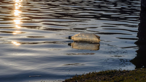 Reflection of floating on water in lake