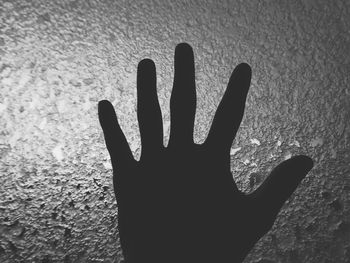 Close-up of hand