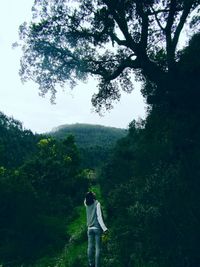 Rear view of man standing on tree against sky