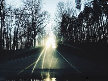 Road amidst trees in forest during sunset