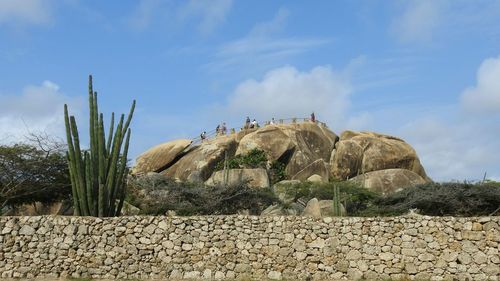 Panoramic view of cactus on desert against sky