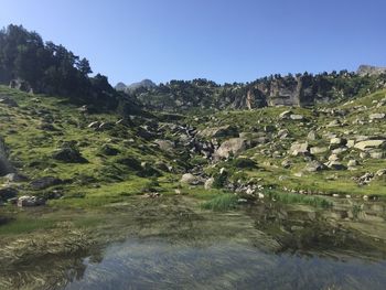 Scenic view of landscape against clear sky