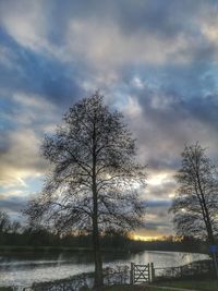 Bare trees on field by lake against sky