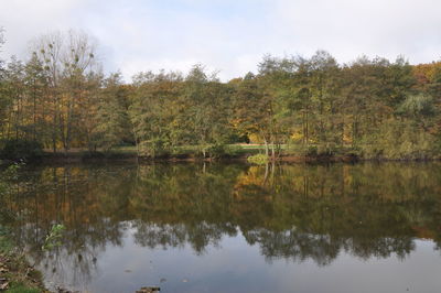 Reflection of trees in lake against sky