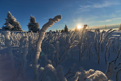 Scenic view of snow covered field against sky