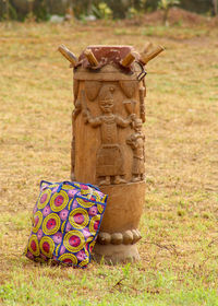 Close-up of carving on a plant