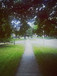 Road passing through park