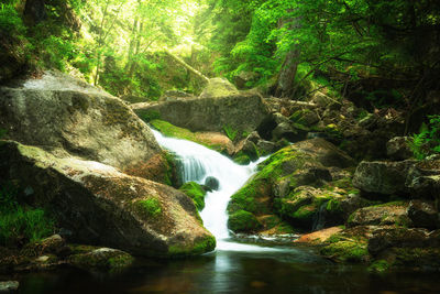 Stream flowing through rocks in forest