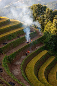 High angle view of agricultural field