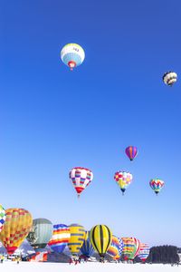 Low angle view of hot air balloons against blue sky