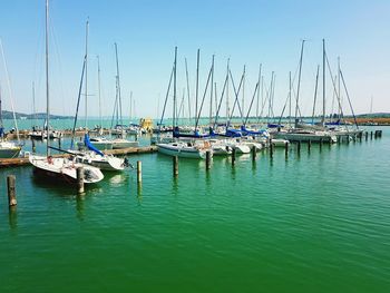 Sailboats moored in harbor against clear sky