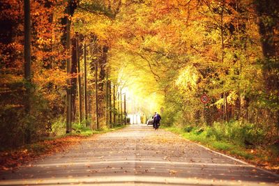 Rear view of people walking on footpath during autumn