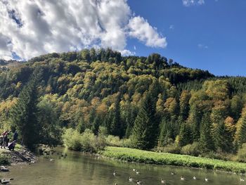 Scenic view of lake in forest against sky