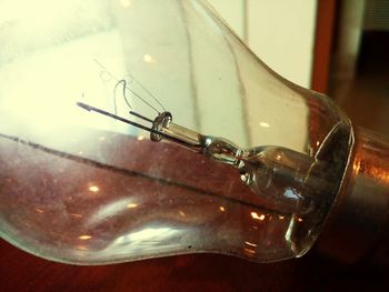 Close-up of insect