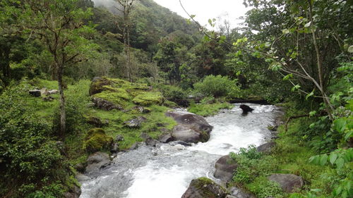 Scenic view of waterfall in forest against sky