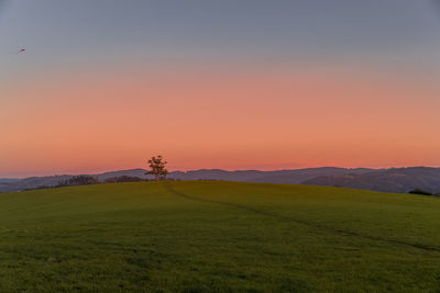 Scenic view of field against sky during sunset